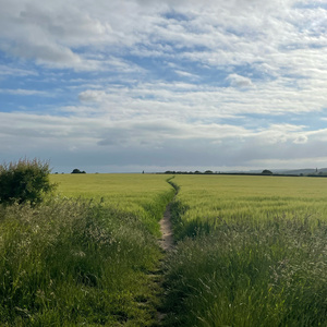 unsure (Instrumental Version)