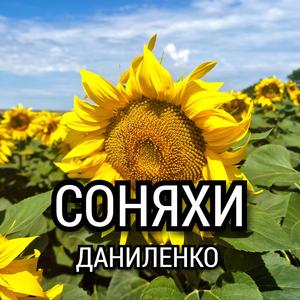 СОНЯХИ
