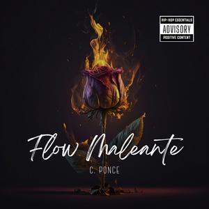 FLOW MALEANTE