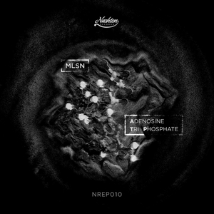 Aerobic (Original Mix)