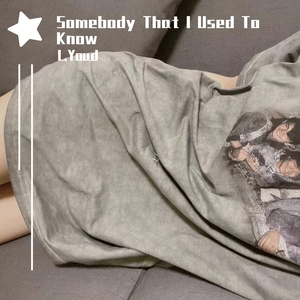Gotye-Somebody That I Used To Know（L.Youd remix）