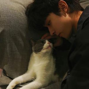 你如白马踏京城