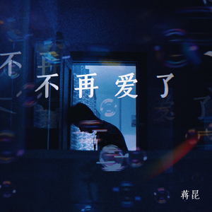 不再爱了（DJ版）