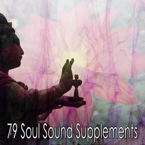 Brief Enclosing Peace