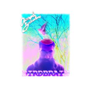 Birdbrain