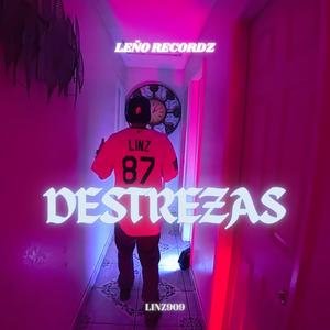 Destrezas