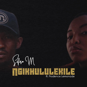 Ngikhululekile (feat. Prudence Lemonade)