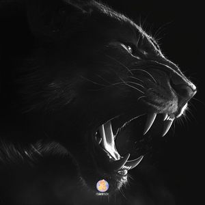 猛兽（Tech House x Club Banger Type Beat）