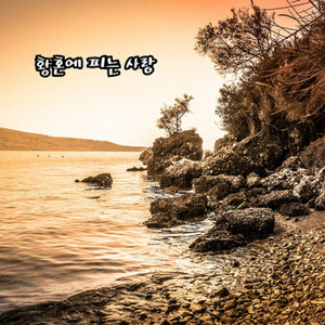 황혼에 피는 사랑