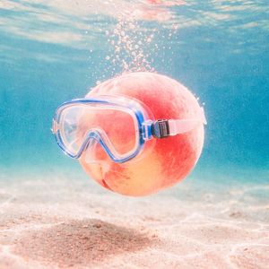 归去来嘻（并舒服）