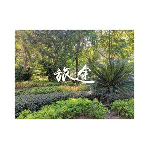 小手拉大手