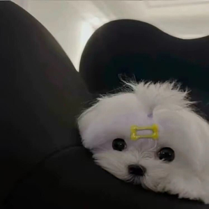 关心是种残忍天赋