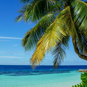 Underwater Exploration