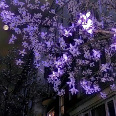 夜来香 stay with me (Remix)