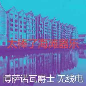 抚慰的海滩回忆