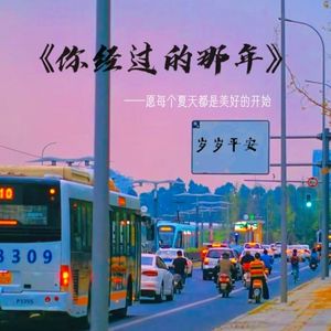 你经过的那年
