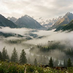 Алтай