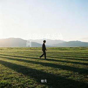 我独行在天地间 (Cover 五凉十坊武威特产馆)