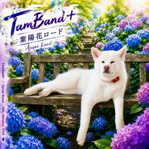 秋田犬のうた 31