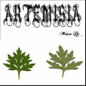 Artemisia (feat. Moxa Dj)