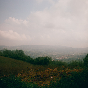 The Valley