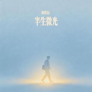 半生微光
