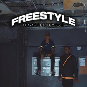 Freestyle TN (feat. Trysko)