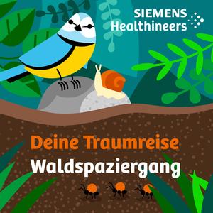 Deine Traumreise: Waldspaziergang