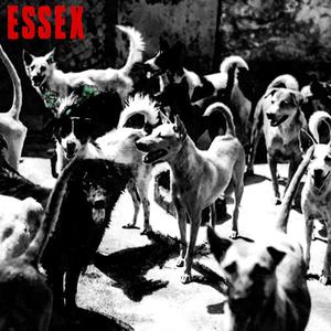 ESSEX
