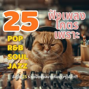 อัลบั้มรวม 25 ฟังเพลงโคตรเพราะกันยาวๆ