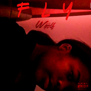 Fly