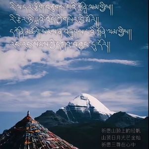 缘之净