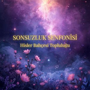Yıldızların Dansı