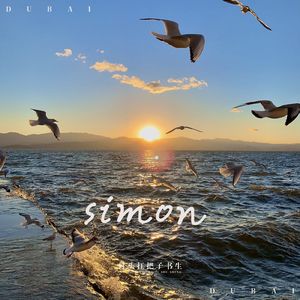 Simon (周菲戈版本)