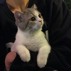 小咪-即兴(轻鼓版)（南柯一梦 remix）