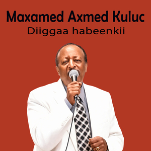 Miyi baan aqal weyn kaaga moosi lahaa