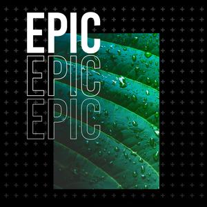 Whale Cry (Original Mix)