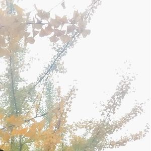 夜空中孤独的冷风