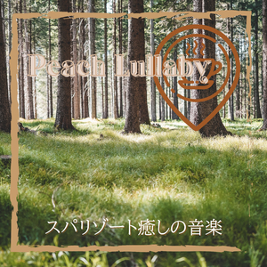 The Sunset on your Mind