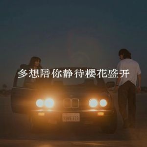 多想陪你静待樱花盛开