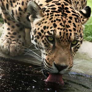 爱是共同撑一把漏雨的伞