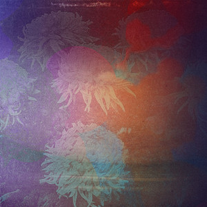 Let Me Love You Like a Man (Acoustic Version)