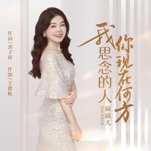 我思念的人你现在何方