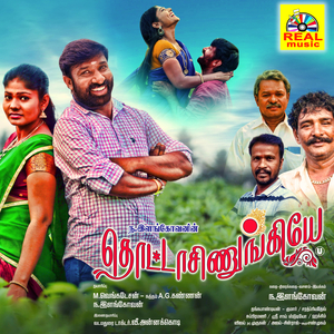 Banarasu Pudavai Katti