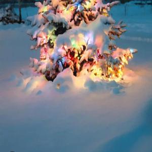 Christmas with the stinson's