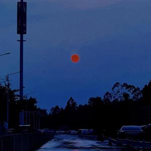 你从未离去（cover 旺仔小乔）