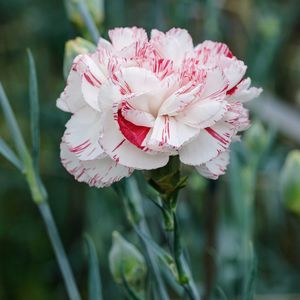 《老妈》(2025版) 伴奏