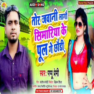 Tor Jawani Lagau Simariya Ke Pul Ge Chhudi (Maithali)