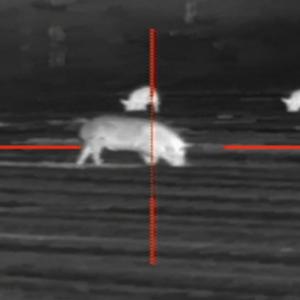 Lava (feat. Salemkuma) (Remix) (Remix)