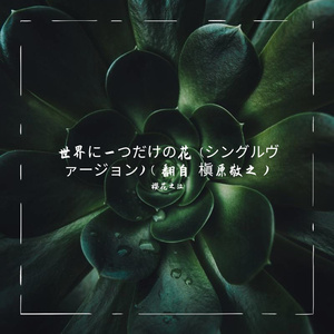 世界に一つだけの花 (シングルヴァージョン) （翻自 槇原敬之）